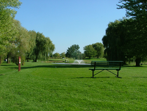 Course greens with a green bench in view 