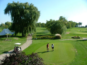 Aerial view of golfers on course 